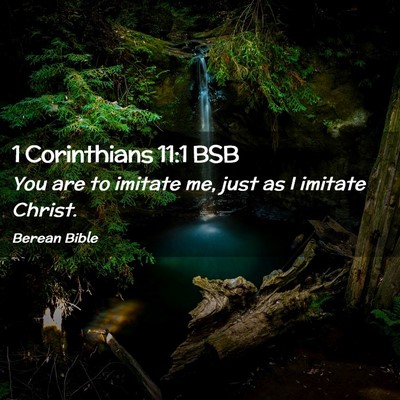 Picture 02 - 1 Corinthians 11:1 BSB - You are to imitate me, just as I imitate - Bible Verse Picture