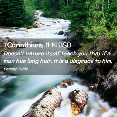 Picture 02 - 1 Corinthians 11:14 BSB - Doesn’t nature itself teach you that if a man - Bible Verse Picture