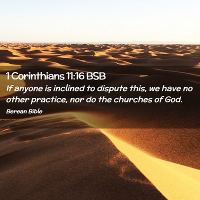 Picture 02 - 1 Corinthians 11:16 BSB - If anyone is inclined to dispute this, we have no - Bible Verse Picture