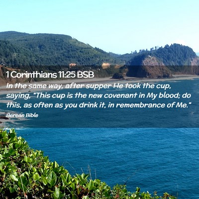 Picture 02 - 1 Corinthians 11:25 BSB - In the same way, after supper He took the cup, - Bible Verse Picture