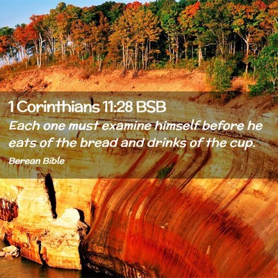 Picture 02 - 1 Corinthians 11:28 BSB - Each one must examine himself before he eats of - Bible Verse Picture