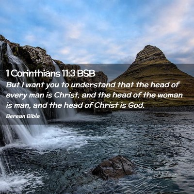 Picture 02 - 1 Corinthians 11:3 BSB - But I want you to understand that the head of - Bible Verse Picture