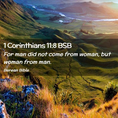 Picture 02 - 1 Corinthians 11:8 BSB - For man did not come from woman, but woman from - Bible Verse Picture