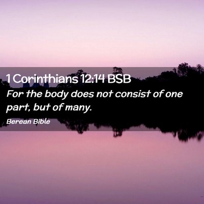Picture 02 - 1 Corinthians 12:14 BSB - For the body does not consist of one part, but of - Bible Verse Picture
