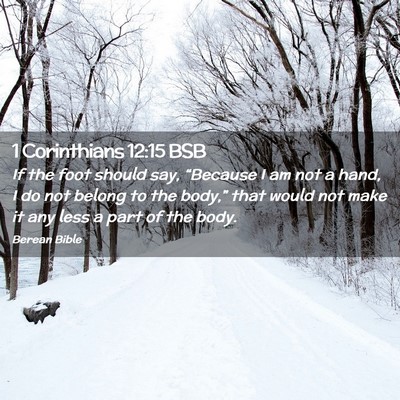 Picture 02 - 1 Corinthians 12:15 BSB - If the foot should say, “Because I am not a - Bible Verse Picture