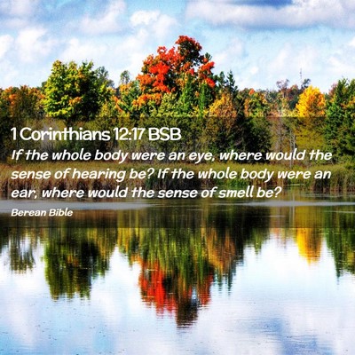 Picture 02 - 1 Corinthians 12:17 BSB - If the whole body were an eye, where would the - Bible Verse Picture