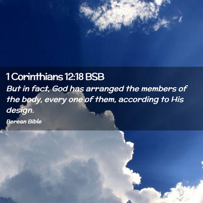 Picture 02 - 1 Corinthians 12:18 BSB - But in fact, God has arranged the members of the - Bible Verse Picture