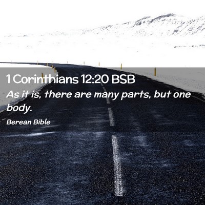 Picture 02 - 1 Corinthians 12:20 BSB - As it is, there are many parts, but one - Bible Verse Picture