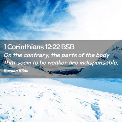 Picture 02 - 1 Corinthians 12:22 BSB - On the contrary, the parts of the body that seem - Bible Verse Picture