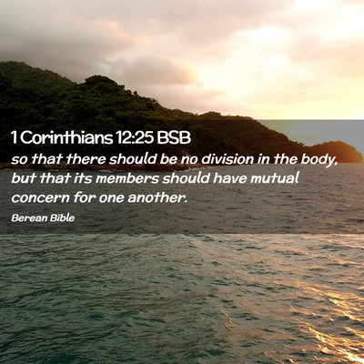 Picture 02 - 1 Corinthians 12:25 BSB - so that there should be no division in the body, - Bible Verse Picture
