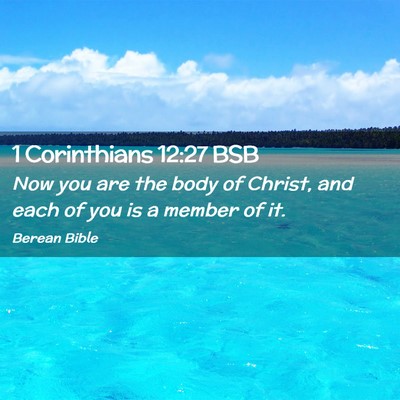 Picture 02 - 1 Corinthians 12:27 BSB - Now you are the body of Christ, and each of you - Bible Verse Picture