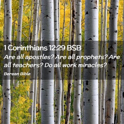 Picture 02 - 1 Corinthians 12:29 BSB - Are all apostles? Are all prophets? Are all - Bible Verse Picture