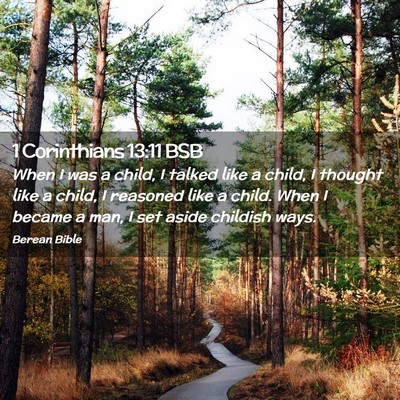 Picture 02 - 1 Corinthians 13:11 BSB - When I was a child, I talked like a child, I - Bible Verse Picture