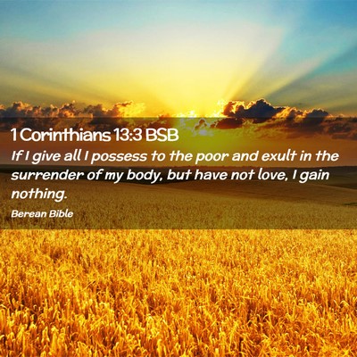 Picture 02 - 1 Corinthians 13:3 BSB - If I give all I possess to the poor and exult in - Bible Verse Picture