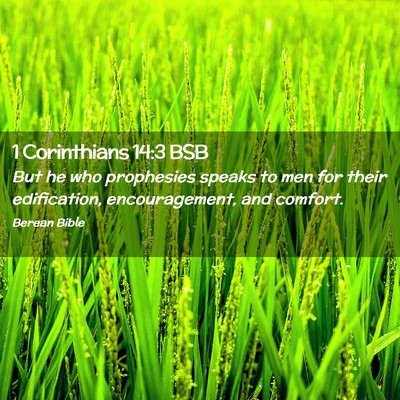 Picture 02 - 1 Corinthians 14:3 BSB - But he who prophesies speaks to men for their - Bible Verse Picture