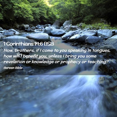 Picture 02 - 1 Corinthians 14:6 BSB - Now, brothers, if I come to you speaking in - Bible Verse Picture