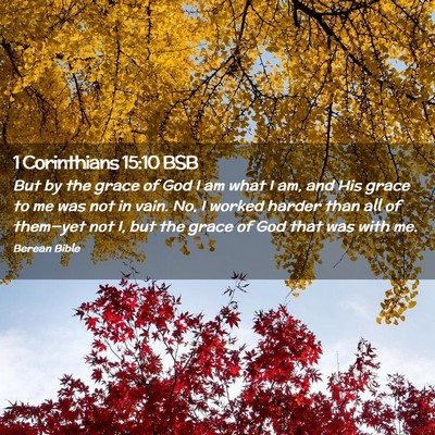 Picture 02 - 1 Corinthians 15:10 BSB - But by the grace of God I am what I am, and His - Bible Verse Picture