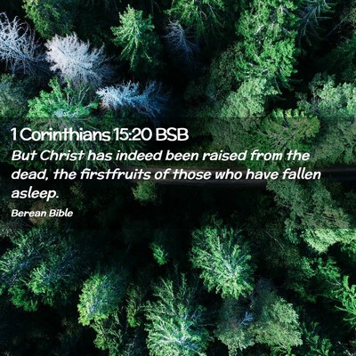 Picture 02 - 1 Corinthians 15:20 BSB - But Christ has indeed been raised from the dead, - Bible Verse Picture