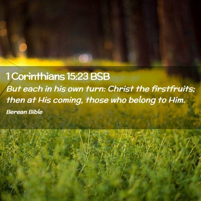 Picture 02 - 1 Corinthians 15:23 BSB - But each in his own turn: Christ the firstfruits; - Bible Verse Picture