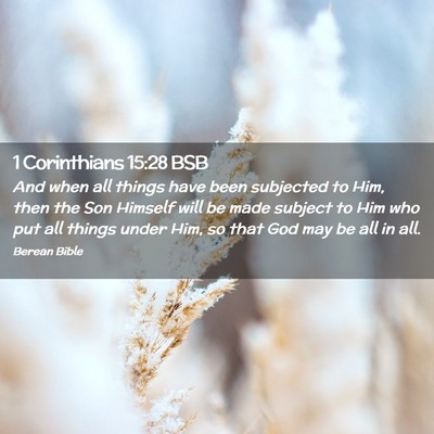 Picture 02 - 1 Corinthians 15:28 BSB - And when all things have been subjected to Him, - Bible Verse Picture