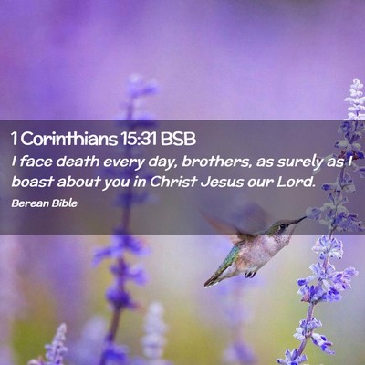 Picture 02 - 1 Corinthians 15:31 BSB - I face death every day, brothers, as surely as I - Bible Verse Picture