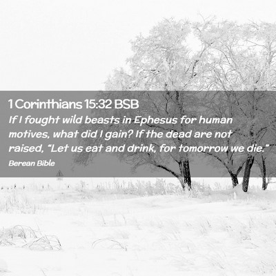 Picture 02 - 1 Corinthians 15:32 BSB - If I fought wild beasts in Ephesus for human - Bible Verse Picture