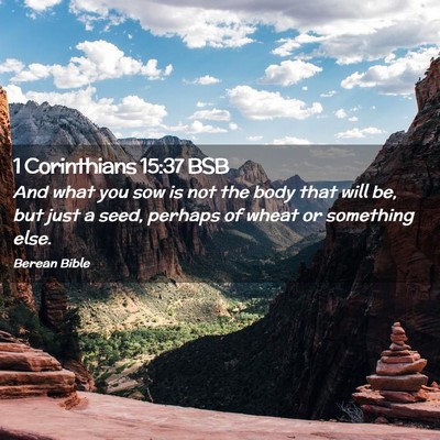 Picture 02 - 1 Corinthians 15:37 BSB - And what you sow is not the body that will be, - Bible Verse Picture
