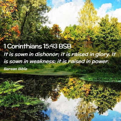 Picture 02 - 1 Corinthians 15:43 BSB - It is sown in dishonor; it is raised in glory. It - Bible Verse Picture