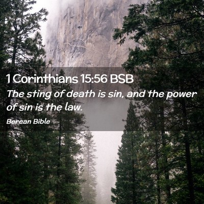 Picture 02 - 1 Corinthians 15:56 BSB - The sting of death is sin, and the power of sin - Bible Verse Picture