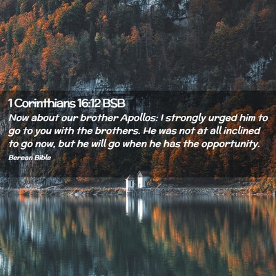 Picture 02 - 1 Corinthians 16:12 BSB - Now about our brother Apollos: I strongly urged - Bible Verse Picture