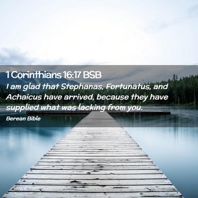 Picture 02 - 1 Corinthians 16:17 BSB - I am glad that Stephanas, Fortunatus, and - Bible Verse Picture