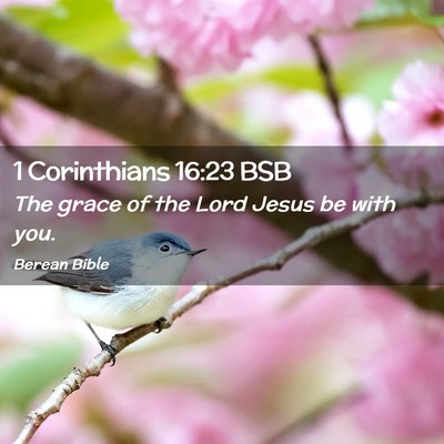 Picture 02 - 1 Corinthians 16:23 BSB - The grace of the Lord Jesus be with - Bible Verse Picture