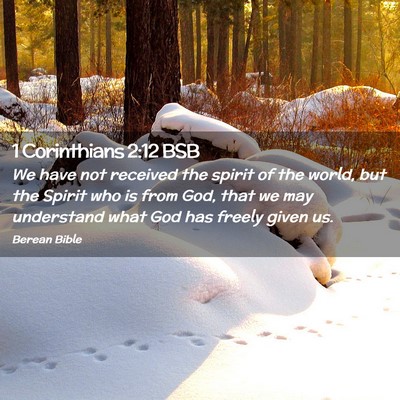 Picture 02 - 1 Corinthians 2:12 BSB - We have not received the spirit of the world, but - Bible Verse Picture