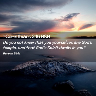 Picture 02 - 1 Corinthians 3:16 BSB - Do you not know that you yourselves are God’s - Bible Verse Picture