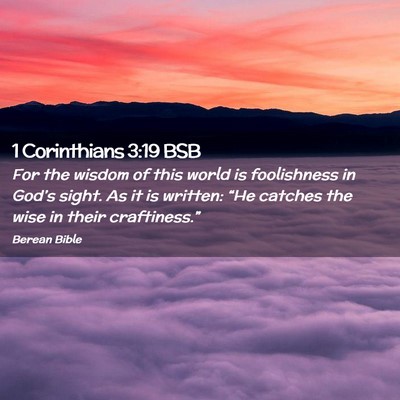 Picture 02 - 1 Corinthians 3:19 BSB - For the wisdom of this world is foolishness in - Bible Verse Picture
