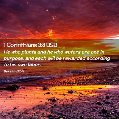 Picture 02 - 1 Corinthians 3:8 BSB - He who plants and he who waters are one in - Bible Verse Picture