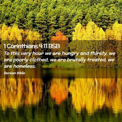 Picture 02 - 1 Corinthians 4:11 BSB - To this very hour we are hungry and thirsty, we - Bible Verse Picture