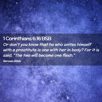 Picture 02 - 1 Corinthians 6:16 BSB - Or don’t you know that he who unites himself - Bible Verse Picture