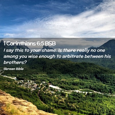 Picture 02 - 1 Corinthians 6:5 BSB - I say this to your shame. Is there really no one - Bible Verse Picture