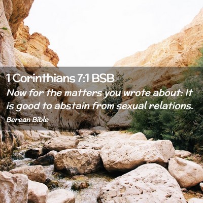 Picture 02 - 1 Corinthians 7:1 BSB - Now for the matters you wrote about: It is good - Bible Verse Picture