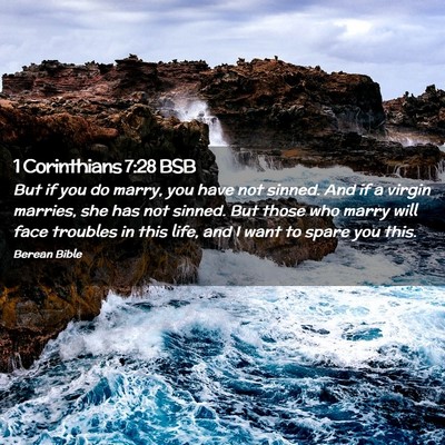 Picture 02 - 1 Corinthians 7:28 BSB - But if you do marry, you have not sinned. And if - Bible Verse Picture