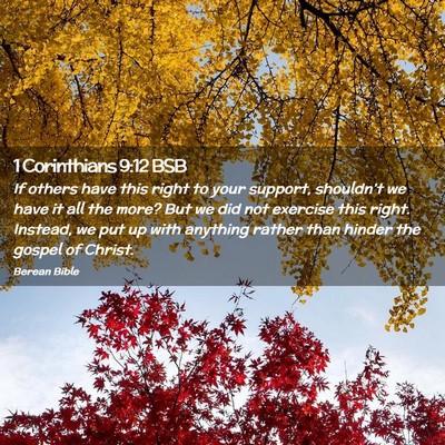 Picture 02 - 1 Corinthians 9:12 BSB - If others have this right to your support, - Bible Verse Picture