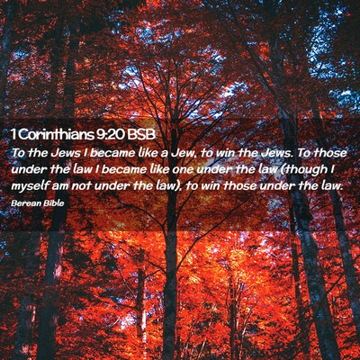 Picture 02 - 1 Corinthians 9:20 BSB - To the Jews I became like a Jew, to win the Jews. - Bible Verse Picture