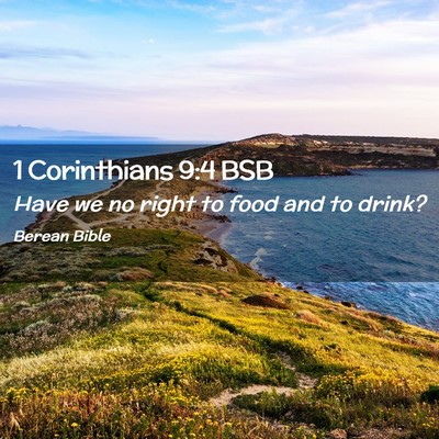Picture 02 - 1 Corinthians 9:4 BSB - Have we no right to food and to - Bible Verse Picture