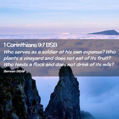 Picture 02 - 1 Corinthians 9:7 BSB - Who serves as a soldier at his own expense? Who - Bible Verse Picture