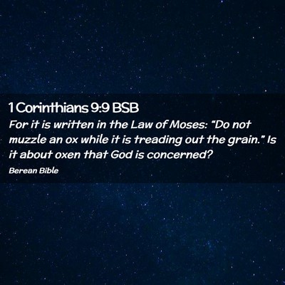 Picture 02 - 1 Corinthians 9:9 BSB - For it is written in the Law of Moses: “Do not - Bible Verse Picture