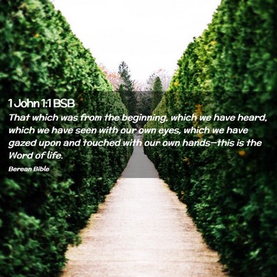 Picture 02 - 1 John 1:1 BSB - That which was from the beginning, which we have - Bible Verse Picture