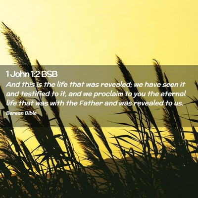 Picture 02 - 1 John 1:2 BSB - And this is the life that was revealed; we have - Bible Verse Picture