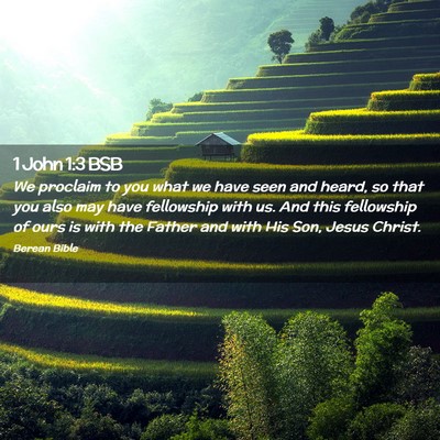 Picture 02 - 1 John 1:3 BSB - We proclaim to you what we have seen and heard, - Bible Verse Picture