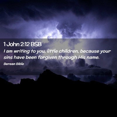 Picture 02 - 1 John 2:12 BSB - I am writing to you, little children, because - Bible Verse Picture
